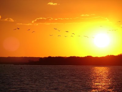 Things To Do Spider's Explorer 